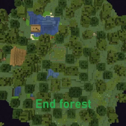 End forest — Minecraft xarita, rasm 1