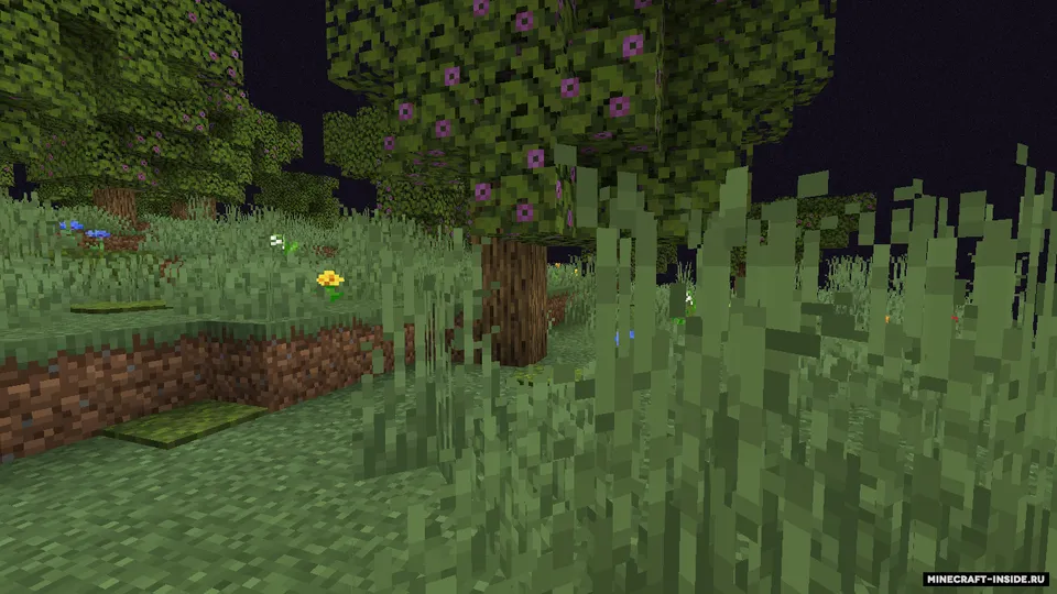 End forest — Minecraft xarita, rasm 2
