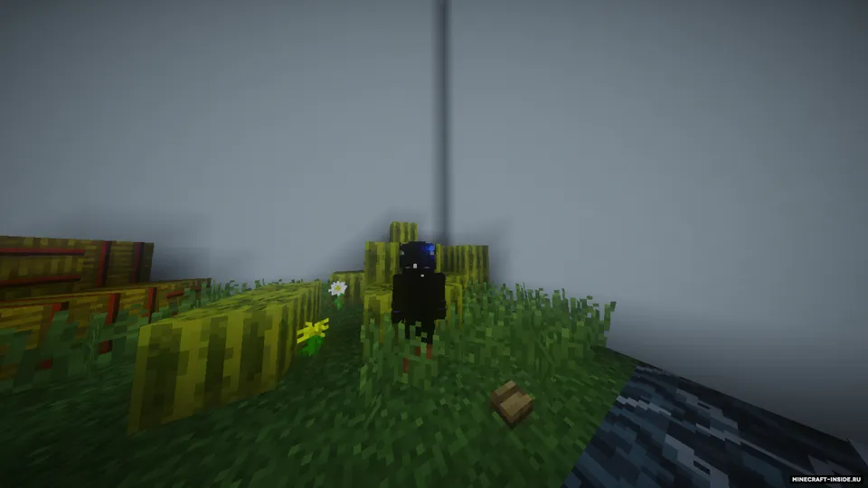 BuildMine'dan tugmani top — Minecraft xarita, rasm 2