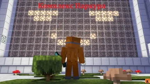 Parkur majmuasi