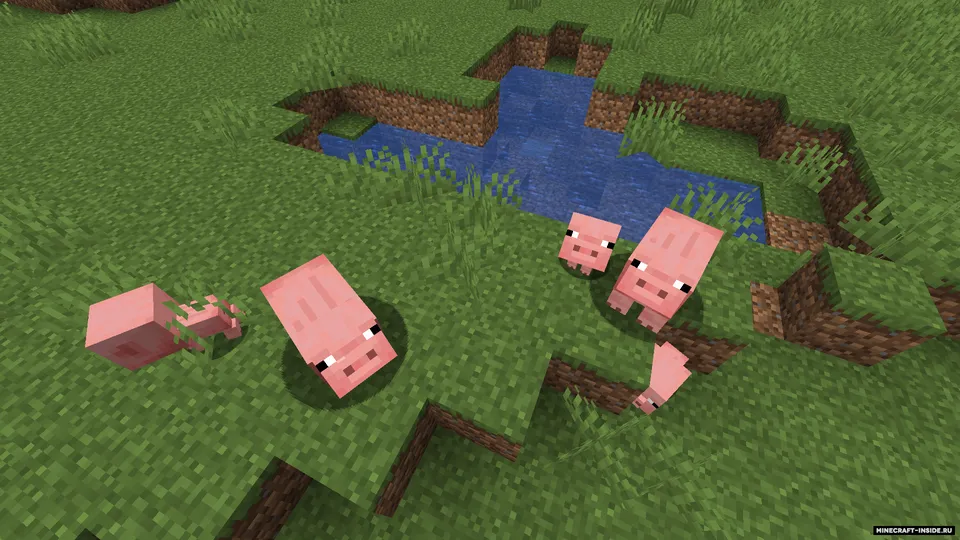 Big Brain — Minecraft mod, rasm 4