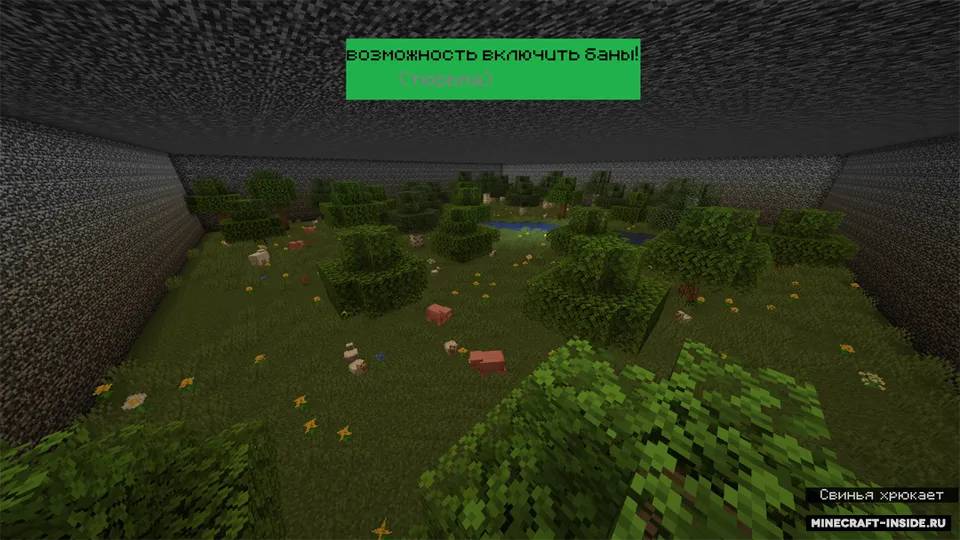 PROcraft — Minecraft xarita, rasm 2