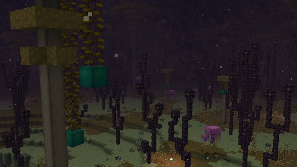 Enderscape — Minecraft mod, rasm 5