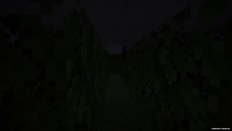 O'rmondagi omborxona — Minecraft xarita, rasm 4