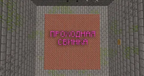 O‘tish mumkin bo‘lgan cho‘chqa