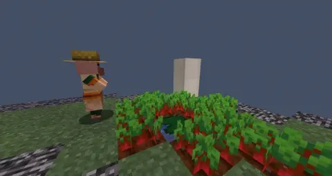 Beetroot farmer | Lavlagi dehqoni