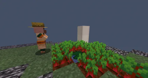 Beetroot farmer | Lavlagi dehqoni — Minecraft xarita, rasm 1