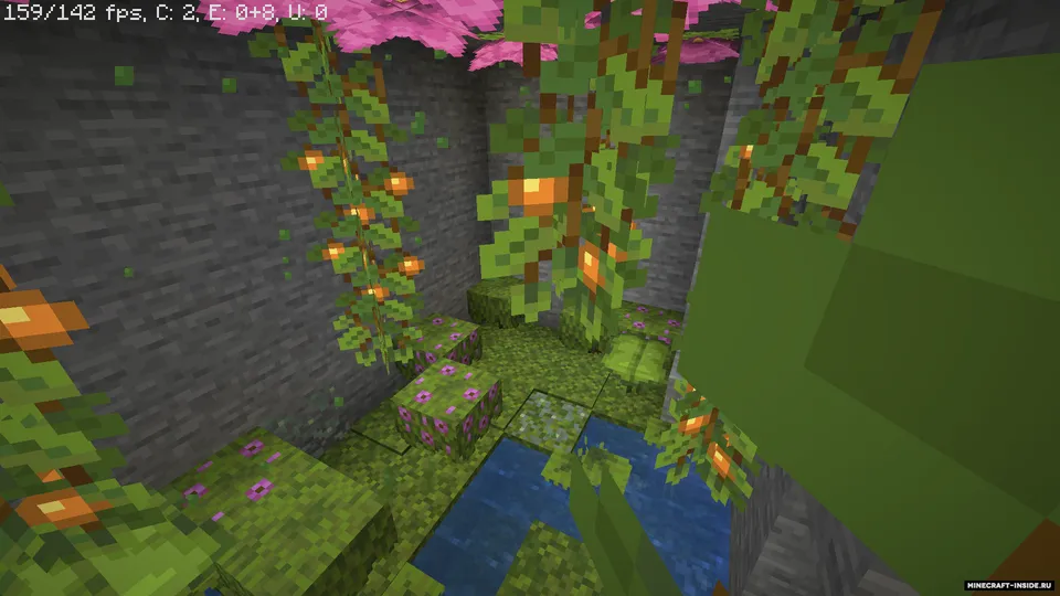 One chank — Minecraft xarita, rasm 4