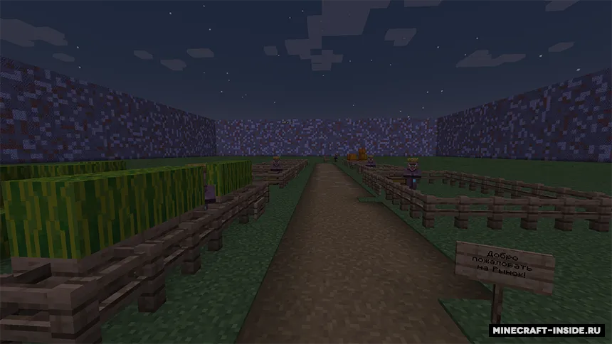 Qishloqi — Minecraft xarita, rasm 5