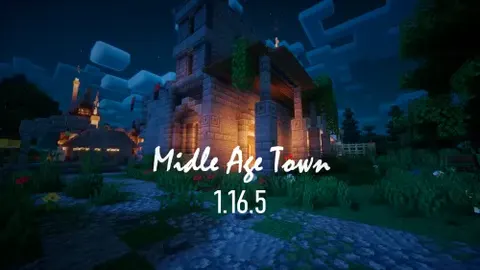 Midle Age Town