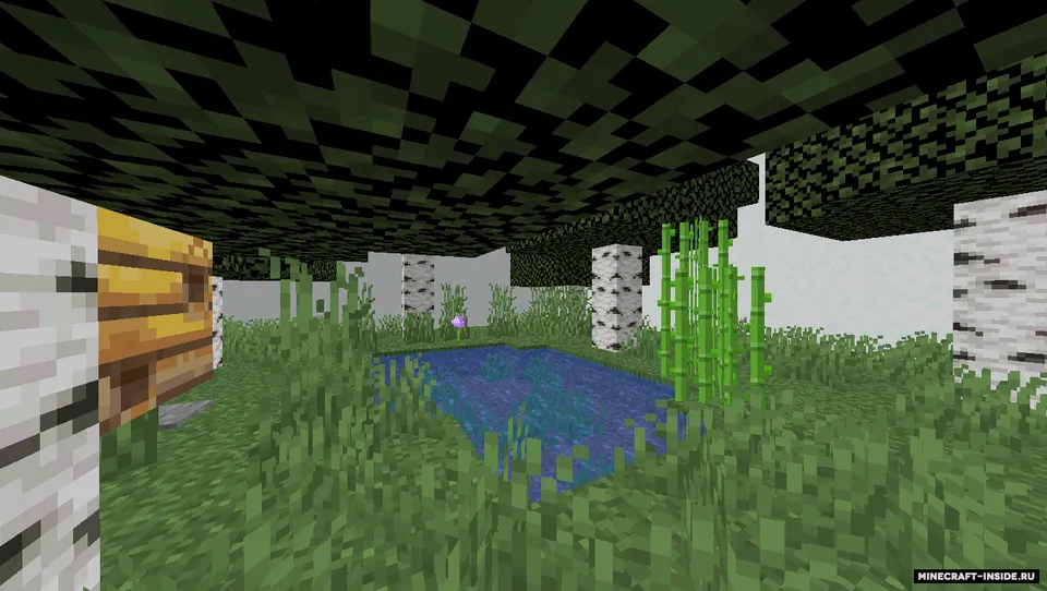 Biomlar tadqiqotchisi — Minecraft xarita, rasm 3
