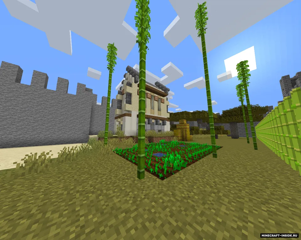 Voha yaqinidagi qasr — Minecraft xarita, rasm 2