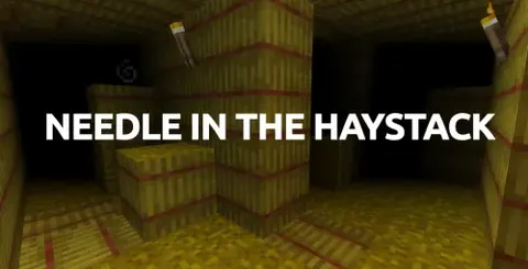 Needle in the Haystack