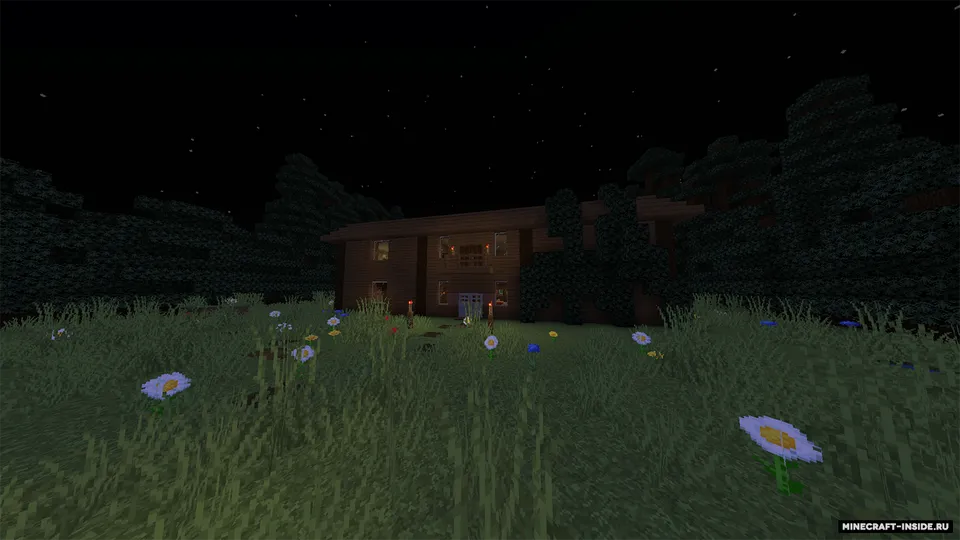 "Qorong'io'rmon" mulki — Minecraft xarita, rasm 6