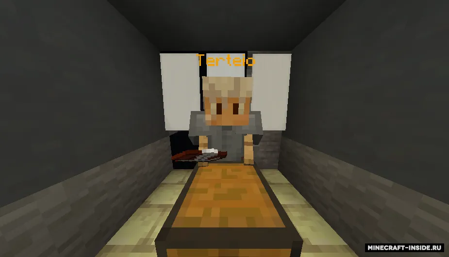 Xaos o'lchamida berkmachoq — Minecraft xarita, rasm 3