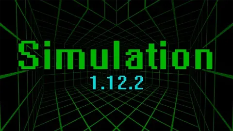 Simulation