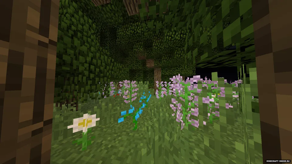 ScorpiBoy38 tomonidan beshta sinov — Minecraft xarita, rasm 2