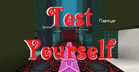 Test Yourself