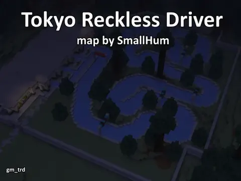 Tokyo Reckless Driver