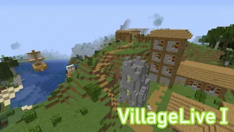VillageLive