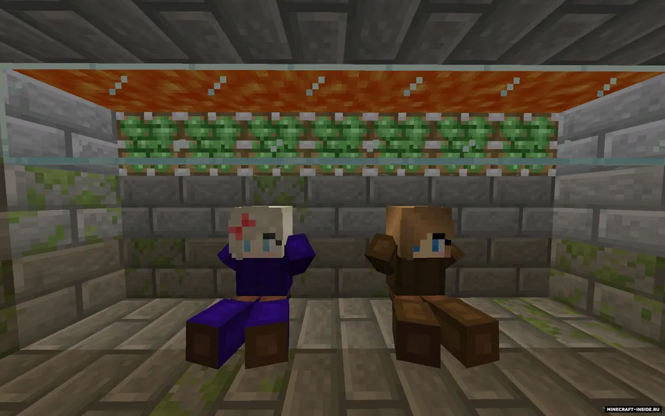 The Abduction — Minecraft xarita, rasm 4