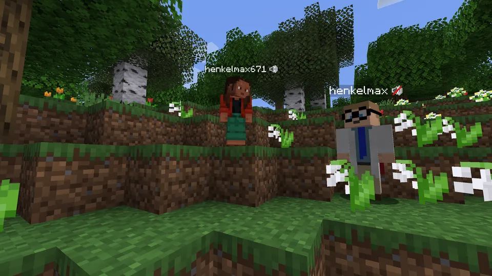 Simple Voice Chat — Minecraft mod, rasm 3