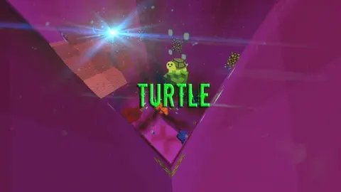 O'nta sinov - Turtle