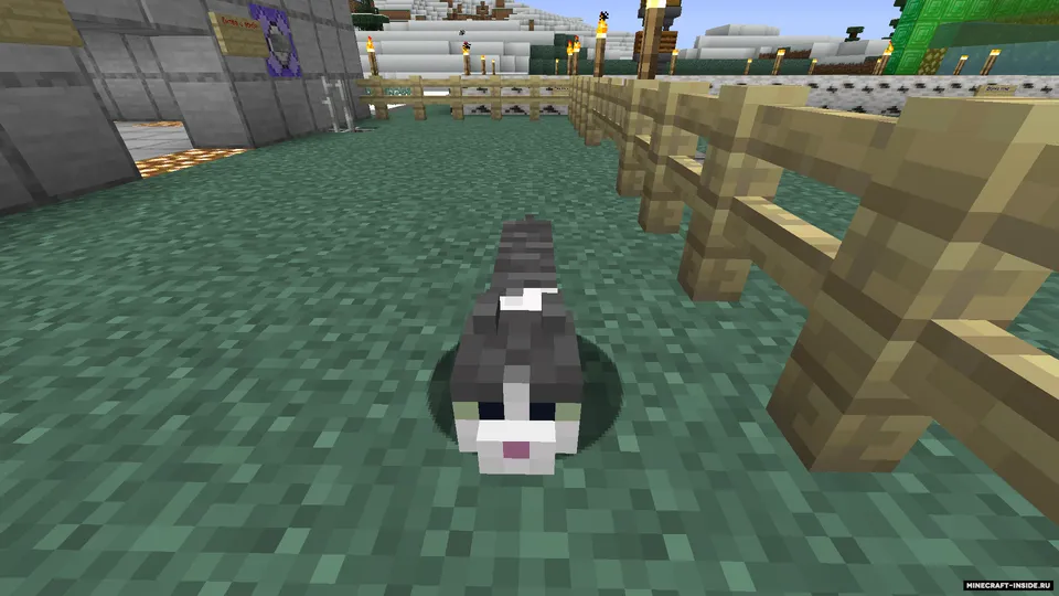 Kuchaytirish — Minecraft xarita, rasm 2