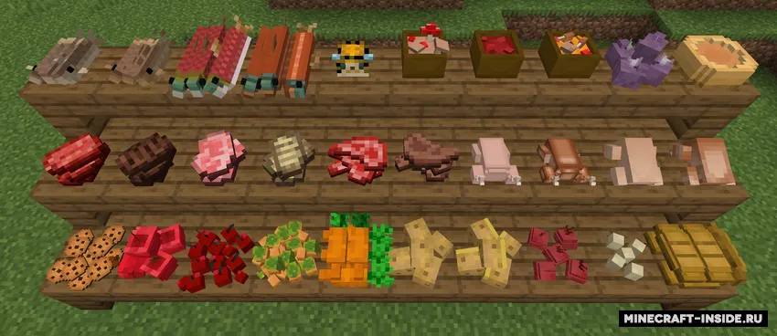 Decorative Food — Minecraft mod, rasm 2