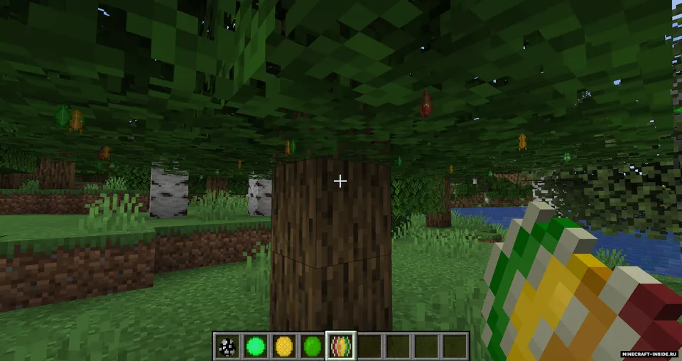 Bok's Butterflies — Minecraft mod, rasm 8