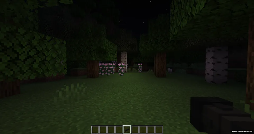 Creeping Woods — Minecraft mod, rasm 3