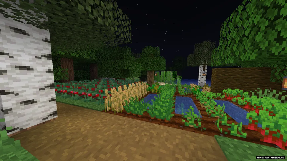 agnt tomonidan omon qolish uchun chiroyli uy — Minecraft xarita, rasm 3