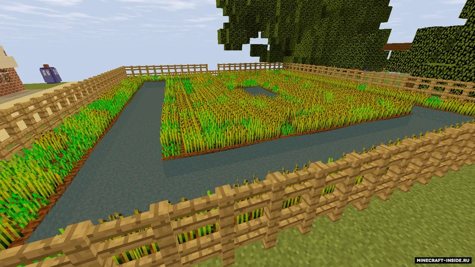 Tyorstov qishlog'i — Minecraft xarita, rasm 8