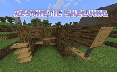 Aesthetic Shelving