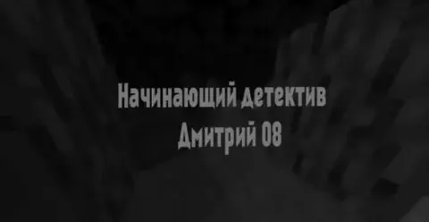 Dmitriy 08 - Boshlang'ich detektiv