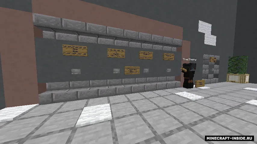MrMolochka dan 10 ta sinov — Minecraft xarita, rasm 2