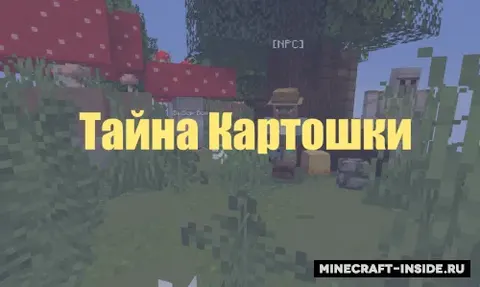 Kartoshka siri