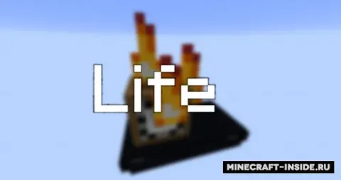 Life