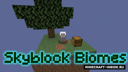 SkyBlock Biomes — Minecraft xarita, rasm 1
