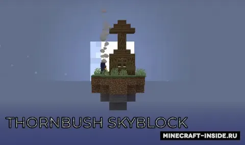 Thornbush Skyblock