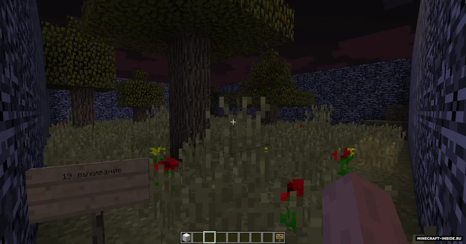DIRT_9 dan sinovlar — Minecraft xarita, rasm 3