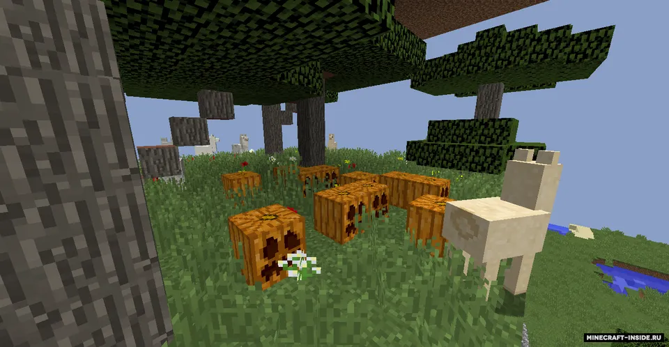 Xira minora — Minecraft xarita, rasm 6