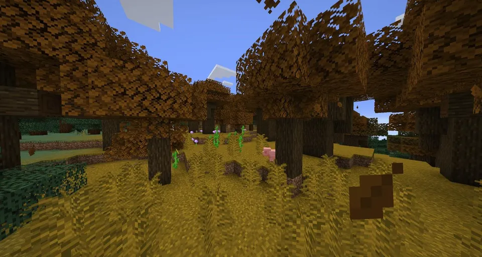 Additional Biomes — Minecraft mod, rasm 3