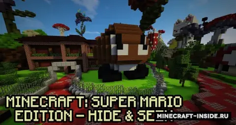 Super Mario Edition - Hide & Seek