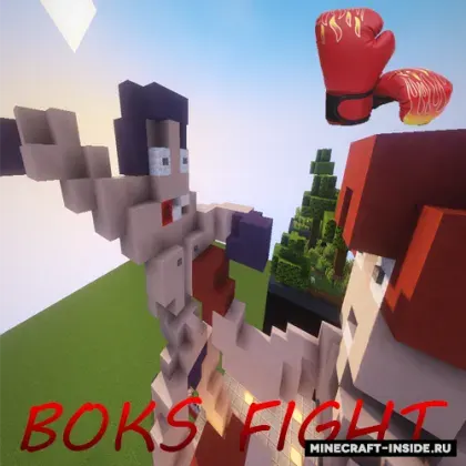 Boxing Fight