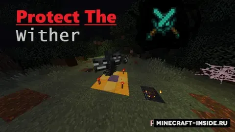 Protect The Wither