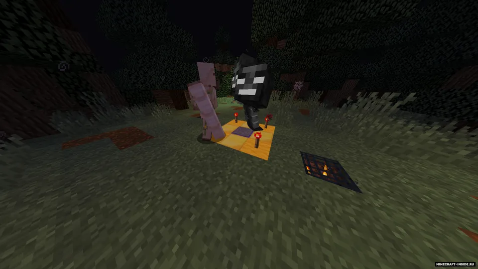 Protect The Wither — Minecraft xarita, rasm 3