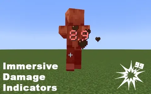 Immersive Damage Indicators