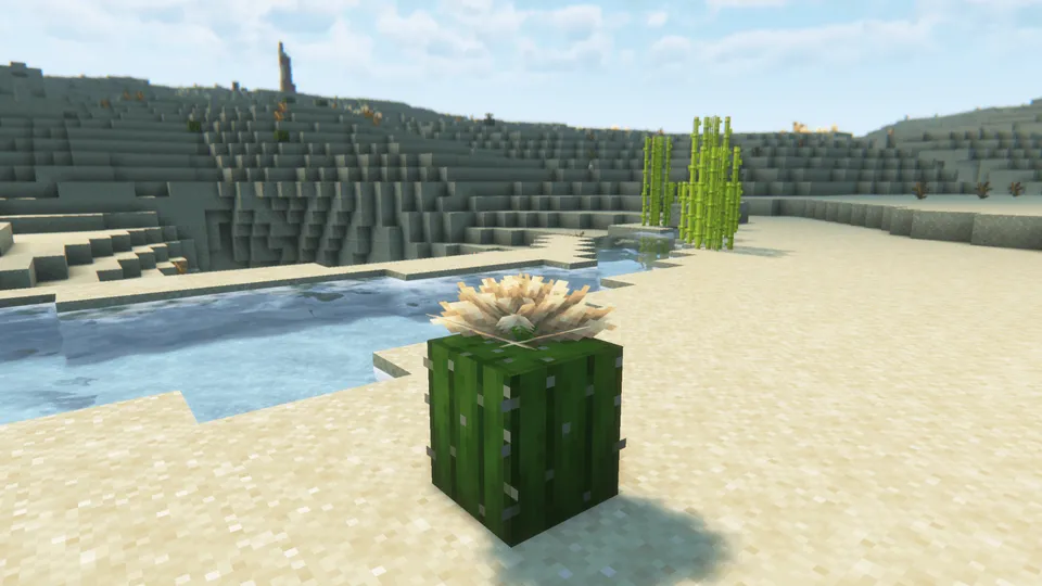 MoFlowers — Minecraft mod, rasm 2