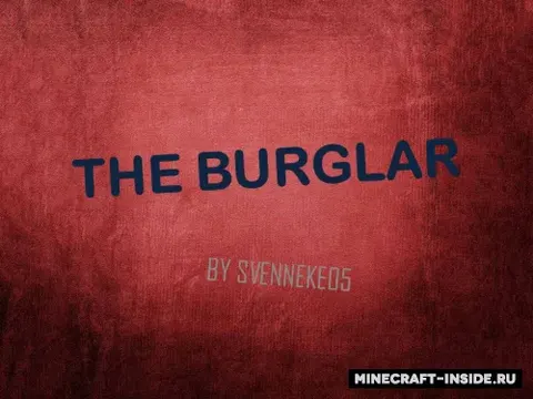 The Burglar